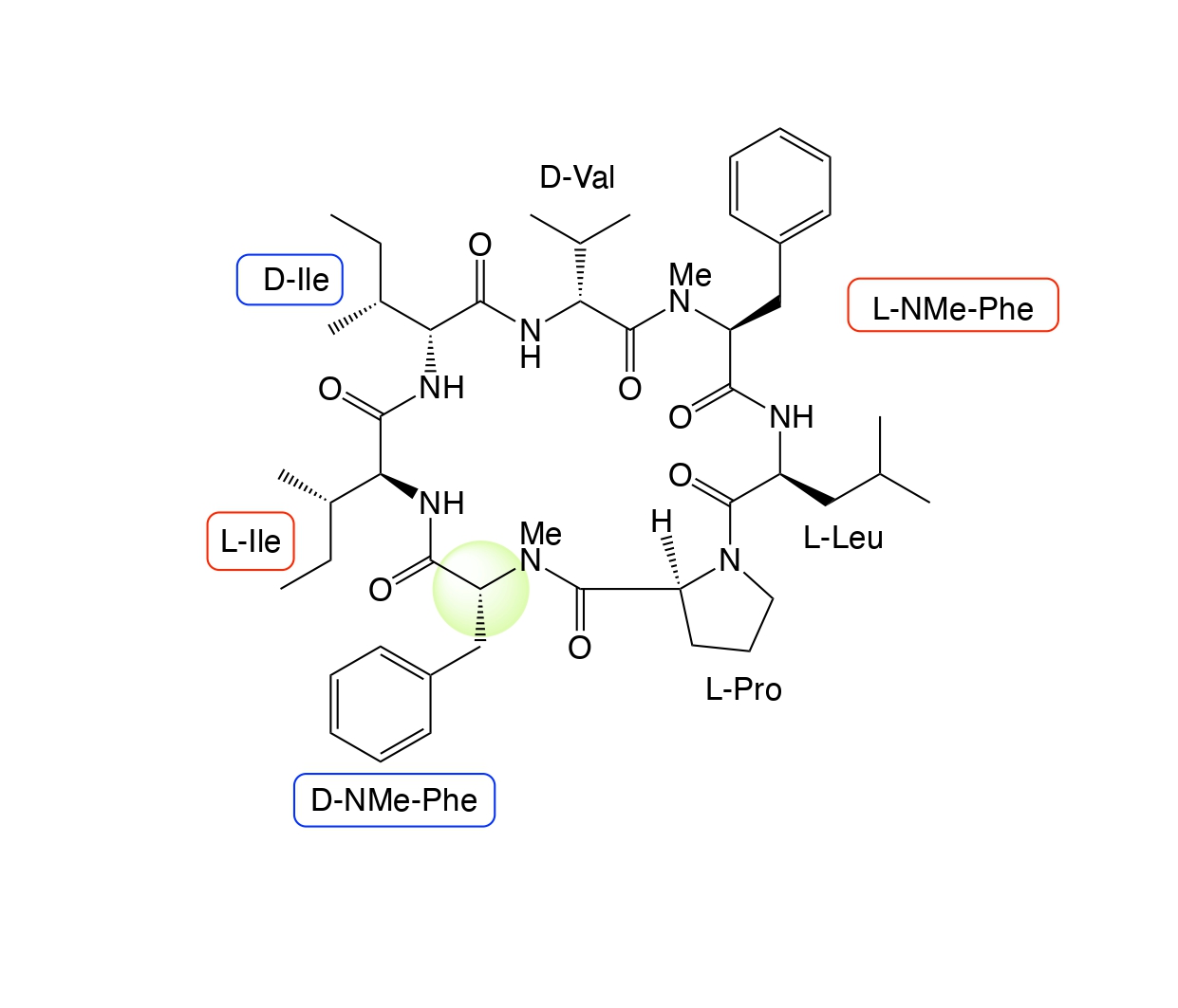 cyclicpeptide_page-0001